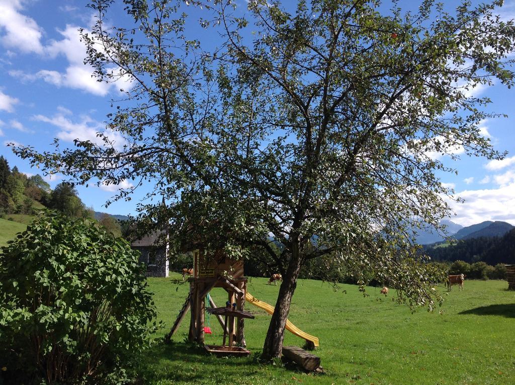 Ferienwohnung Strubbauer Urlaub Am Bauernhof Abtenau Bagian luar foto
